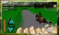 Arabian Horse Jumping Screen Shot 6
