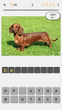 Dogs Quiz - Guess All Breeds! Screen Shot 1