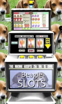 3D Beagle Slots - Free Screen Shot 0