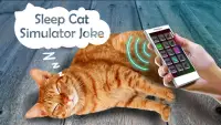 Sleep Cat Simulator Joke Screen Shot 2