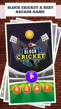 Block Cricket Screen Shot 0
