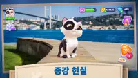 Catapolis- 고양이 키우기 동물 게임 Screen Shot 8