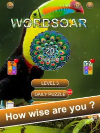 Word Soar - Fun Puzzle Game Screen Shot 8