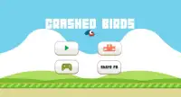 Crashed Birds Screen Shot 0