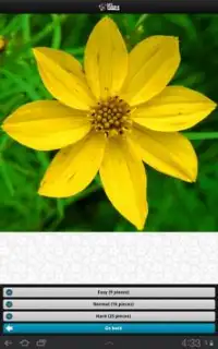 Flowers Puzzle – MPW Screen Shot 14