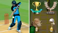 Smashing Cricket: cricket game Screen Shot 7