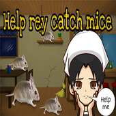 Help rey catch mice
