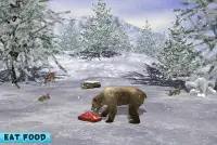 Polar Bear Family Survival Screen Shot 6
