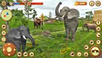 Dziki słoń gra w dżungli 3D Screen Shot 0