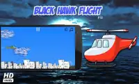 Black Hawk Flight Screen Shot 3