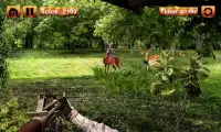 صيد الغزلان لعبة قناص Screen Shot 5