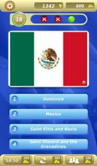 World Flags Quiz Name the Flag Screen Shot 5