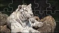 Biały Tygrys Puzzle Gry Screen Shot 3