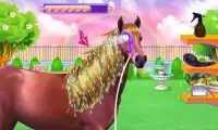 Horse Hair Salon and Mane- Tressage Screen Shot 1