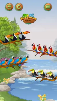 Birds Sort Color- Puzzle Games Screen Shot 2