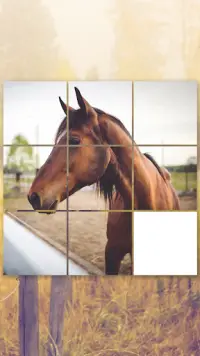 Horse Puzzles Collection Screen Shot 4