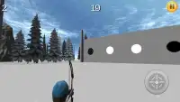 Bow Biathlon Sim 3D Screen Shot 3