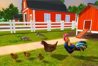 Rooster Simulator - Chick Life Screen Shot 1