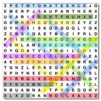 Word Search