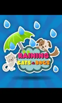 Raining Cats and Dogs Screen Shot 0