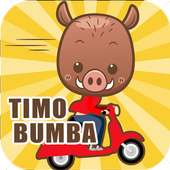 Timon Bumba Jump