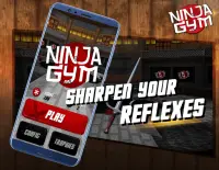 Ninja Gym Screen Shot 0