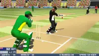 Cricket Games - Boys Vs Girls  Screen Shot 6