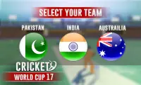Cricket Cup Screen Shot 1