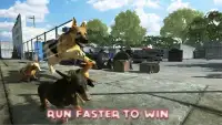 Dog Racing : Dog Games Screen Shot 2