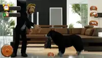 आभासी पिल्ला और कुत्ता साहसिकमेरा परिवार पालतू खेल Screen Shot 7