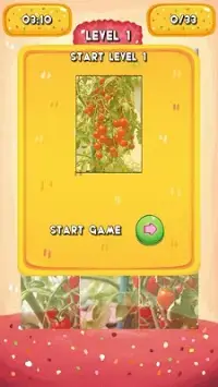 Tomatoes Jigsaw Puzzles Screen Shot 5