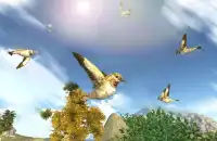 Sparrow 3D Simulator Screen Shot 3