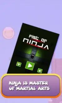 pugno di ninja Screen Shot 0