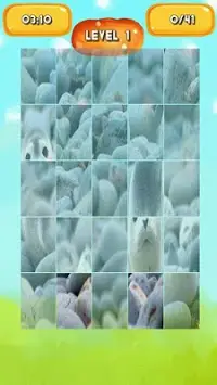 Seal Jigsaw Puzzles Screen Shot 4