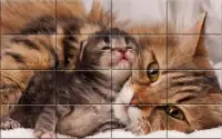 Tile Puzzle Cats Screen Shot 5