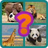 Animals Quiz - Know Animals
