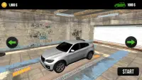 Stunt Car Simulator Screen Shot 2