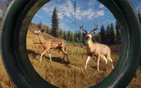 Wild Hunting Sniper Hunter Screen Shot 2