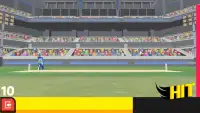 Cricket Arcade Screen Shot 3