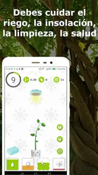 Árbol afortunado: planta tu propio árbol Screen Shot 0