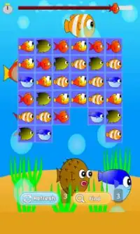 Fish Match Game Screen Shot 2
