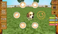 Let's be dog!!(puppy, pet) Screen Shot 4