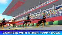 Pet Dog Run Simulator - Greyhound Racing Game Screen Shot 2