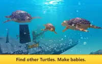 Turtle Simulator: Sea Quest Screen Shot 2