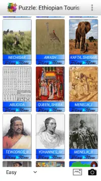 Puzzle: Ethiopian Tourist Attraction Sites Screen Shot 7