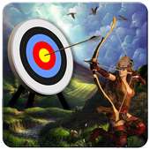 Bow And Arrows Archery 2016