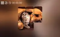 Cute Kittens Puzzle Screen Shot 7