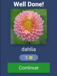 Guess Flowers Trivia Screen Shot 6