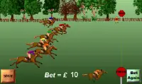 Horse Racing Screen Shot 0