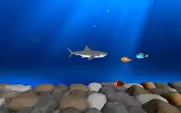Angry Shark Adventure 3D Screen Shot 1
